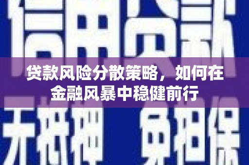 枞阳贷款风险分散策略，如何在金融风暴中稳健前行