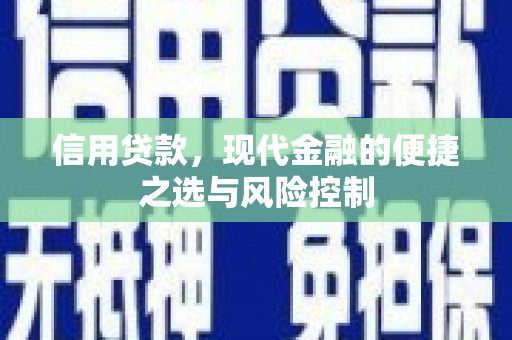 枞阳信用贷款，现代金融的便捷之选与风险控制