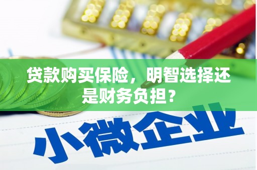 枞阳贷款购买保险，明智选择还是财务负担？