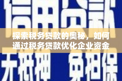 枞阳探索税务贷款的奥秘，如何通过税务贷款优化企业资金流