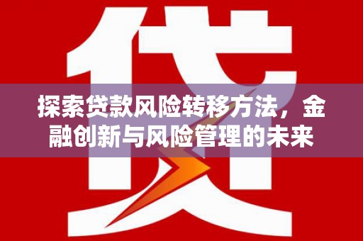 枞阳探索贷款风险转移方法，金融创新与风险管理的未来