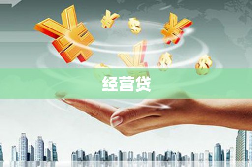 枞阳经营贷