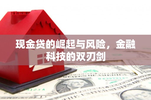 枞阳现金贷的崛起与风险，金融科技的双刃剑