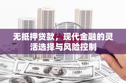 枞阳无抵押贷款，现代金融的灵活选择与风险控制