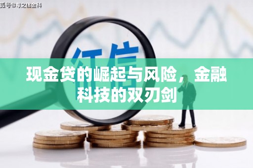 枞阳现金贷的崛起与风险，金融科技的双刃剑