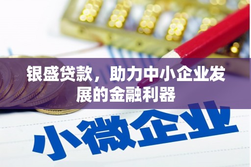 枞阳银盛贷款，助力中小企业发展的金融利器
