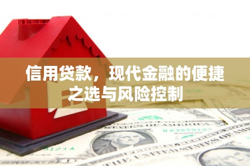 枞阳信用贷款，现代金融的便捷之选与风险控制