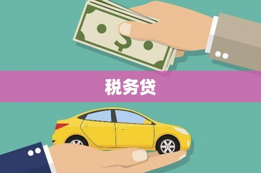 枞阳税务贷
