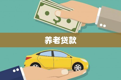 枞阳养老贷款