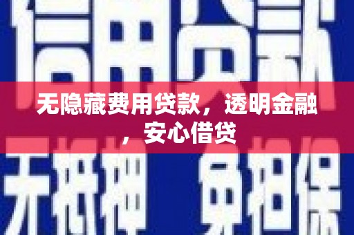 枞阳无隐藏费用贷款，透明金融，安心借贷