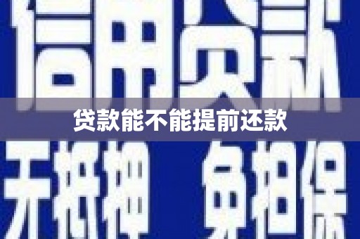 枞阳贷款能不能提前还款
