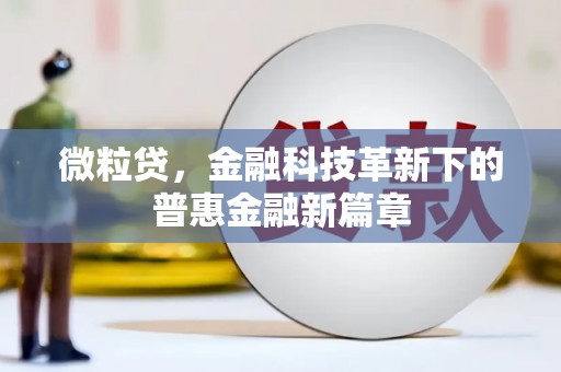 枞阳微粒贷，金融科技革新下的普惠金融新篇章