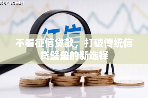 枞阳不看征信贷款，打破传统信贷壁垒的新选择