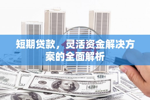 枞阳短期贷款，灵活资金解决方案的全面解析