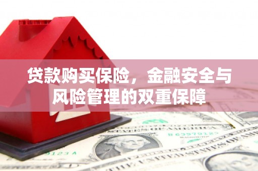 枞阳贷款购买保险，金融安全与风险管理的双重保障