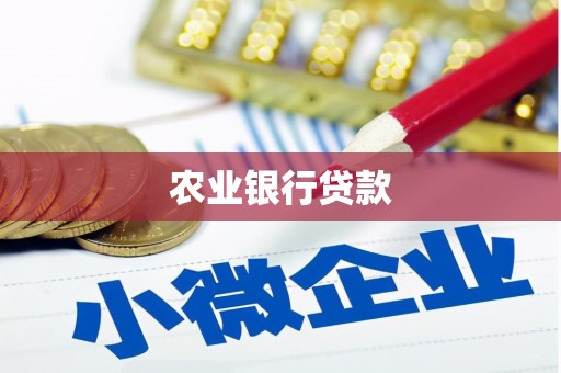 枞阳农业银行贷款