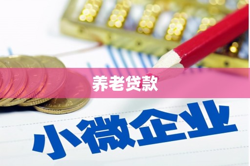 枞阳养老贷款