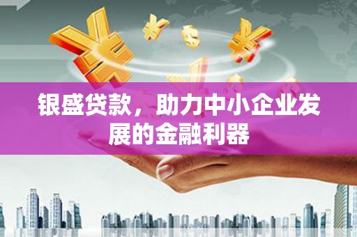 枞阳银盛贷款，助力中小企业发展的金融利器