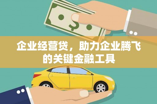 枞阳企业经营贷，助力企业腾飞的关键金融工具