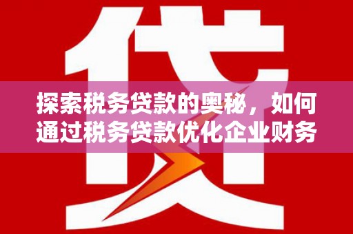 枞阳探索税务贷款的奥秘，如何通过税务贷款优化企业财务