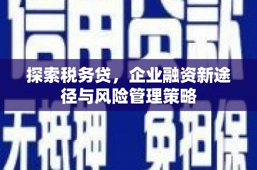 枞阳探索税务贷，企业融资新途径与风险管理策略