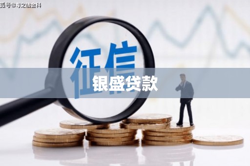 枞阳银盛贷款