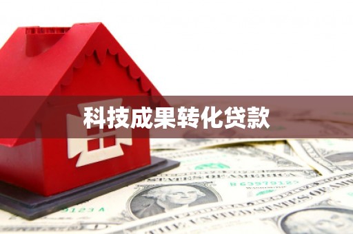 枞阳科技成果转化贷款