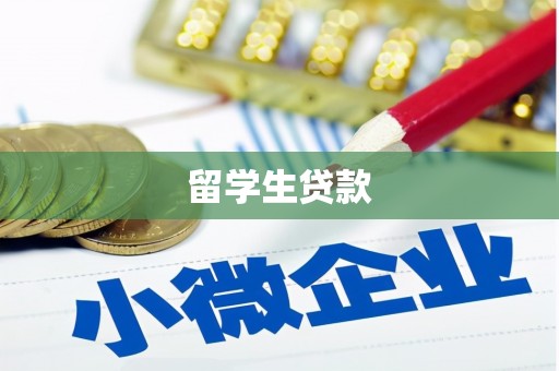 枞阳留学生贷款