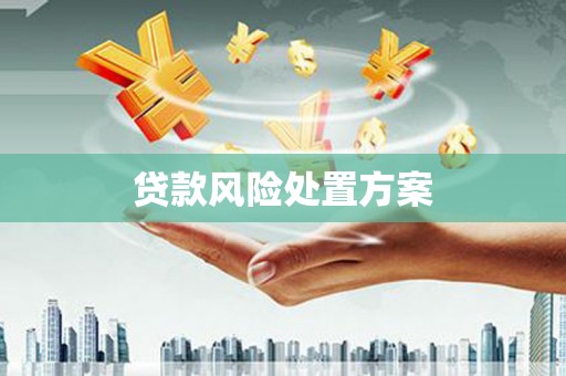 枞阳贷款风险处置方案