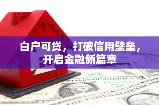 枞阳白户可贷，打破信用壁垒，开启金融新篇章