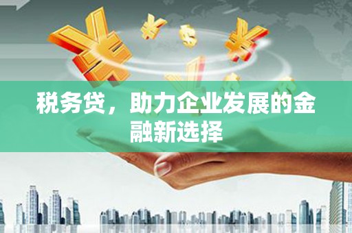枞阳税务贷，助力企业发展的金融新选择