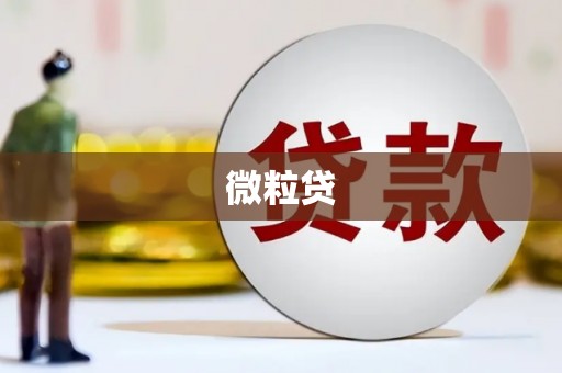 枞阳微粒贷