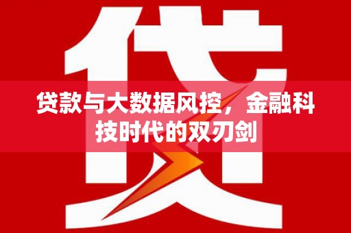 枞阳贷款与大数据风控，金融科技时代的双刃剑
