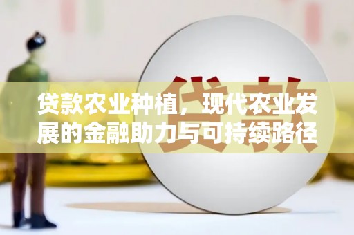 枞阳贷款农业种植，现代农业发展的金融助力与可持续路径