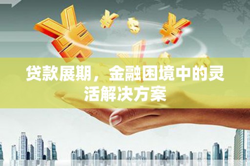 枞阳贷款展期，金融困境中的灵活解决方案