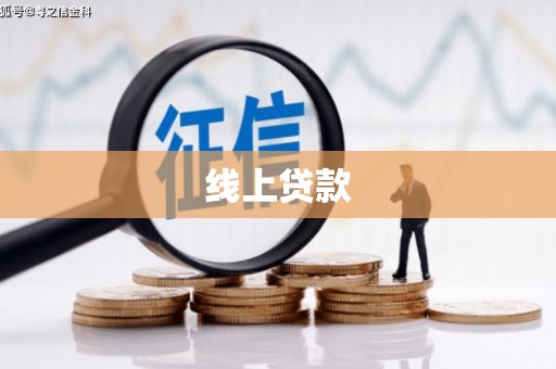 枞阳线上贷款
