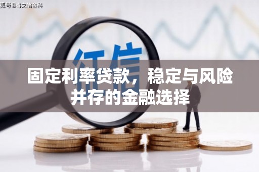 枞阳固定利率贷款，稳定与风险并存的金融选择