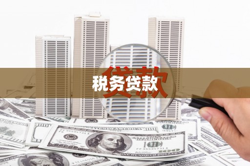 枞阳税务贷款