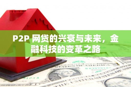 枞阳P2P 网贷的兴衰与未来，金融科技的变革之路
