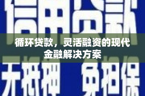 枞阳循环贷款，灵活融资的现代金融解决方案