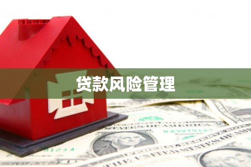 枞阳贷款风险管理