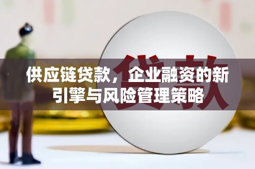 枞阳供应链贷款，企业融资的新引擎与风险管理策略