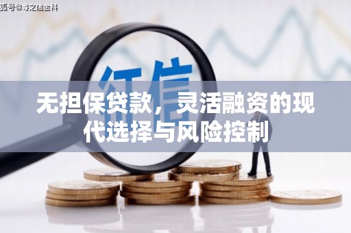 枞阳无担保贷款，灵活融资的现代选择与风险控制
