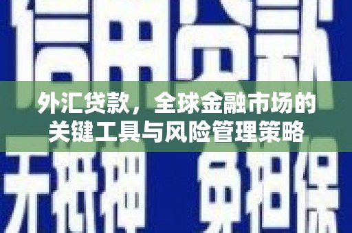 枞阳外汇贷款，全球金融市场的关键工具与风险管理策略
