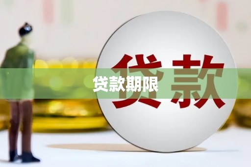枞阳贷款期限