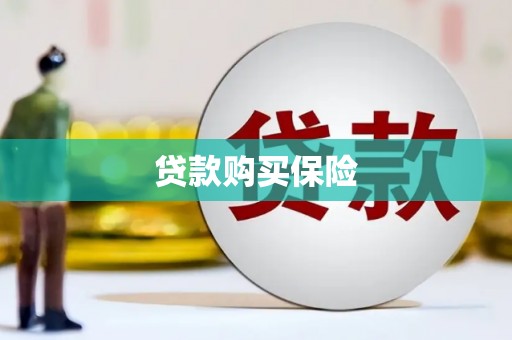 枞阳贷款购买保险