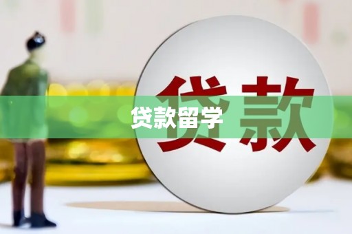 枞阳贷款留学