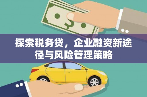 枞阳探索税务贷，企业融资新途径与风险管理策略