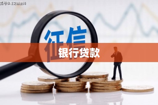 枞阳银行贷款