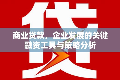 枞阳商业贷款，企业发展的关键融资工具与策略分析
